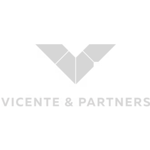 Vicente & Partners LLC
